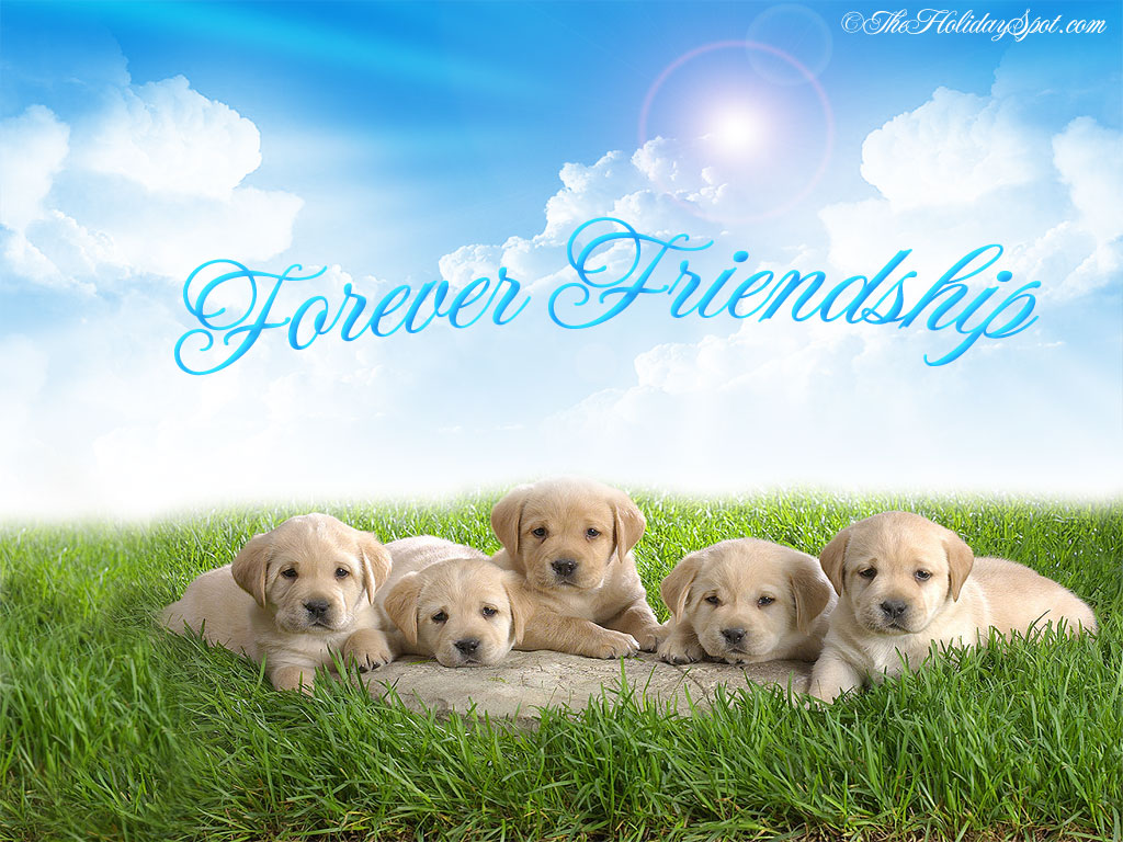 Friendship Wallpapers With Quotes For Facebook