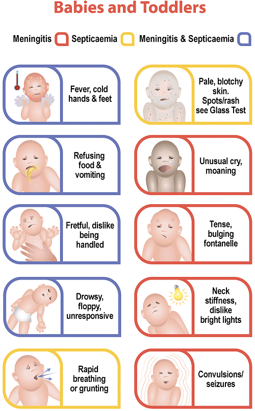 Viral Meningitis Symptoms Toddlers